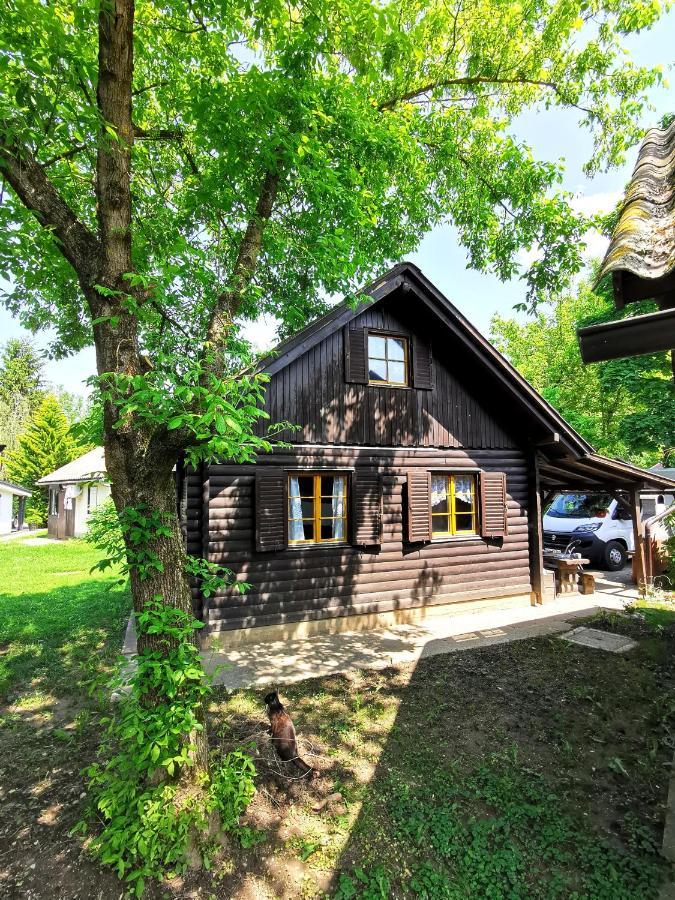 Apartman Cosy Retreat Catez Catez ob Savi